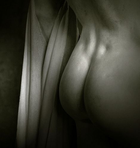 Marcellus - Photo de Yvan LEMEUR Marcellus - Photo de Yvan LEMEUR